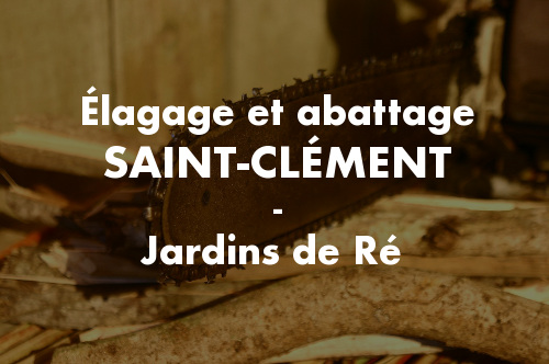 Élagage et abattage d'arbres et pins à Saint-Clément-des-Baleines
